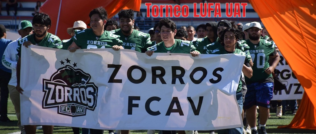 Imagen 6